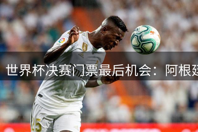 世界杯决赛门票最后机会：阿根廷对西班牙，起价9000美元